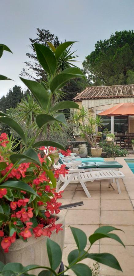 Appartement Chez Mamiyo à Gallargues-le-Montueux Extérieur photo